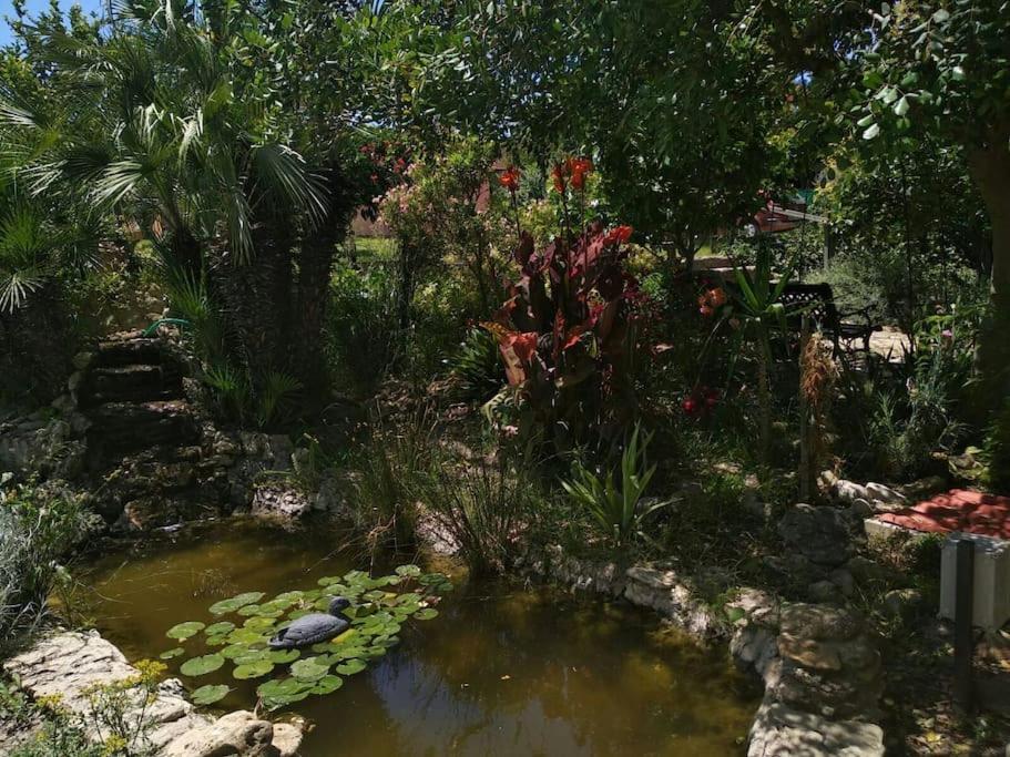 הוילה חרז Vivienda Rural La Choza מראה חיצוני תמונה